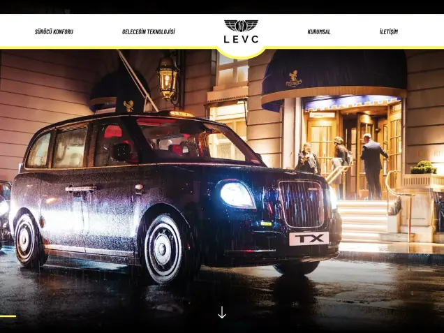 Levc Turkey Web Tasarım