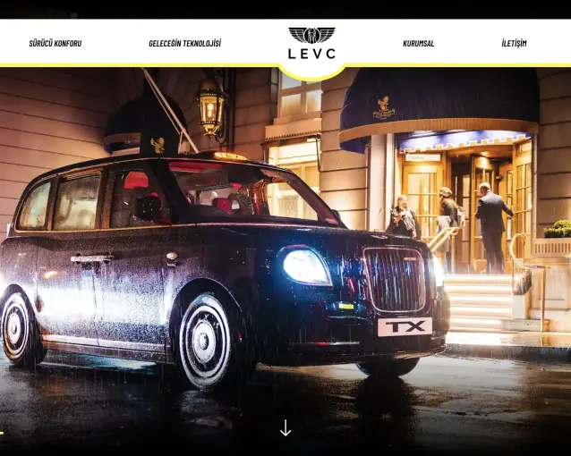 Levc Turkey Web Tasarım